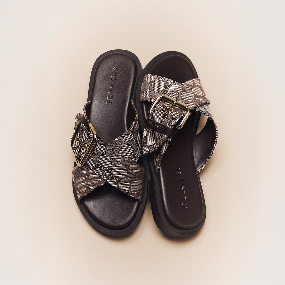 Coach Outlet – Page 3 | ShopSimon