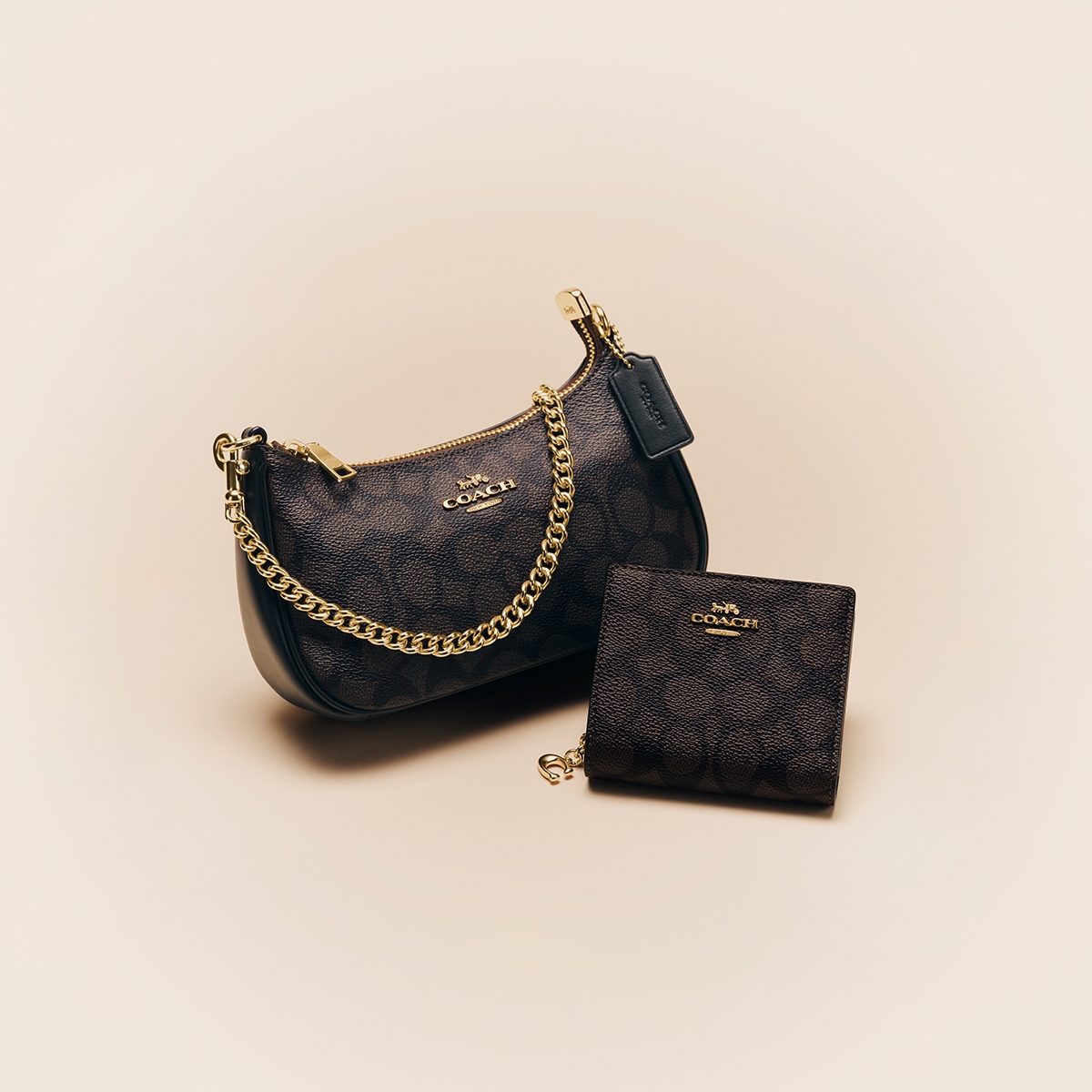 Coach Outlet Signature Collection | ShopSimon